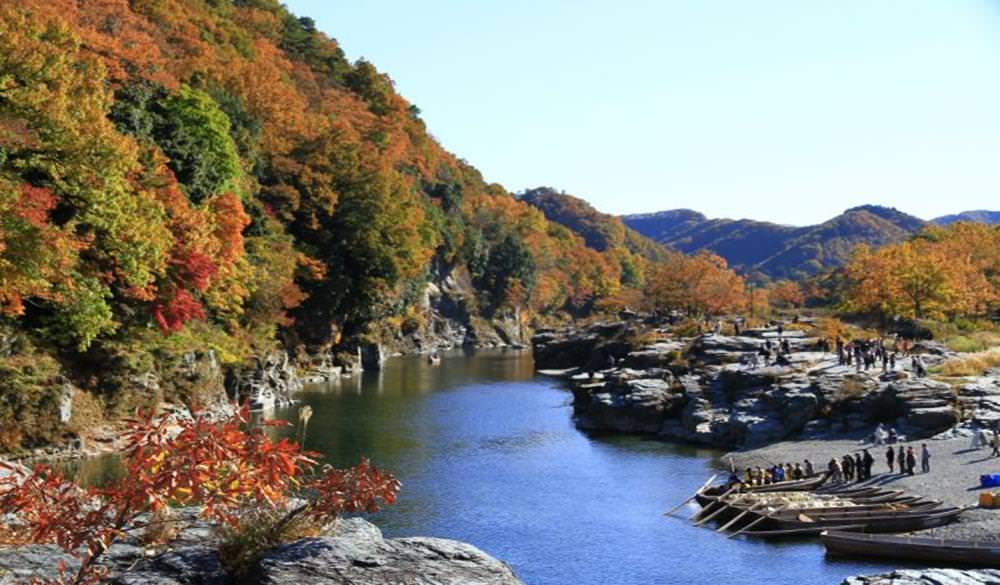 月之石紅葉公園,2022長瀞紅葉祭,長瀞紅葉祭,埼玉秩父賞楓景點,長瀞紅葉,長瀞賞楓景點,長瀞搭船溯溪,日本賞楓行程推薦,日本水上賞楓,日本賞楓,日本賞楓自由行,日本賞楓,日本紅葉預測,日本船上賞楓景點,賞楓景點,賞楓秘境