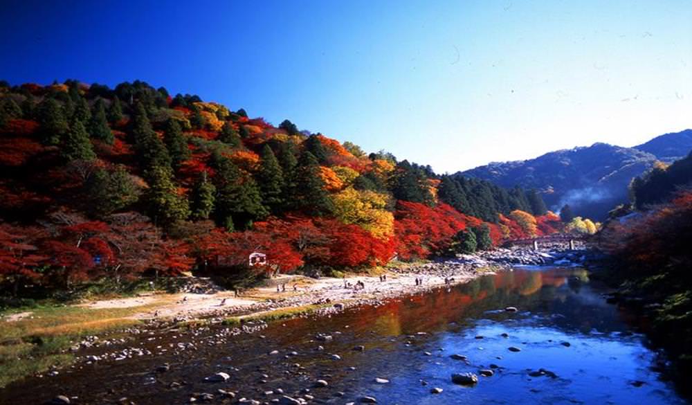 名古屋,愛知縣,香嵐溪,香嵐溪紅葉祭,香嵐溪賞楓景點,愛知賞楓景點,香嵐溪紅葉,香嵐橋,2022香嵐溪紅葉祭,日本賞楓行程推薦,日本水上賞楓,日本賞楓,日本賞楓自由行,日本賞楓,日本紅葉預測,日本船上賞楓景點,賞楓景點,賞楓秘境