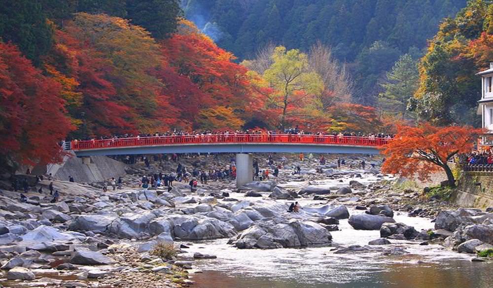 名古屋,愛知縣,香嵐溪,香嵐溪紅葉祭,香嵐溪賞楓景點,愛知賞楓景點,香嵐溪紅葉,香嵐橋,2022香嵐溪紅葉祭,日本賞楓行程推薦,日本水上賞楓,日本賞楓,日本賞楓自由行,日本賞楓,日本紅葉預測,日本船上賞楓景點,賞楓景點,賞楓秘境