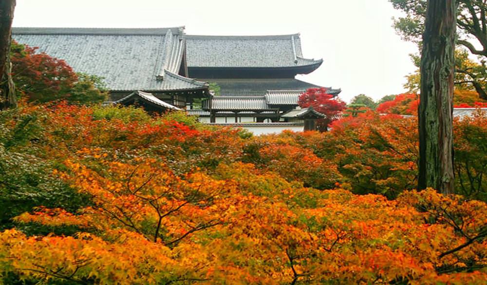 日本賞楓,京都賞楓自由行,京都賞楓,日本賞楓時間,京都楓葉時間,大阪賞楓,京都賞楓行程,清水寺,東福寺,京都楓葉時間,京都紅葉,京都賞楓行程,日本紅葉預測,京都賞楓,賞楓景點