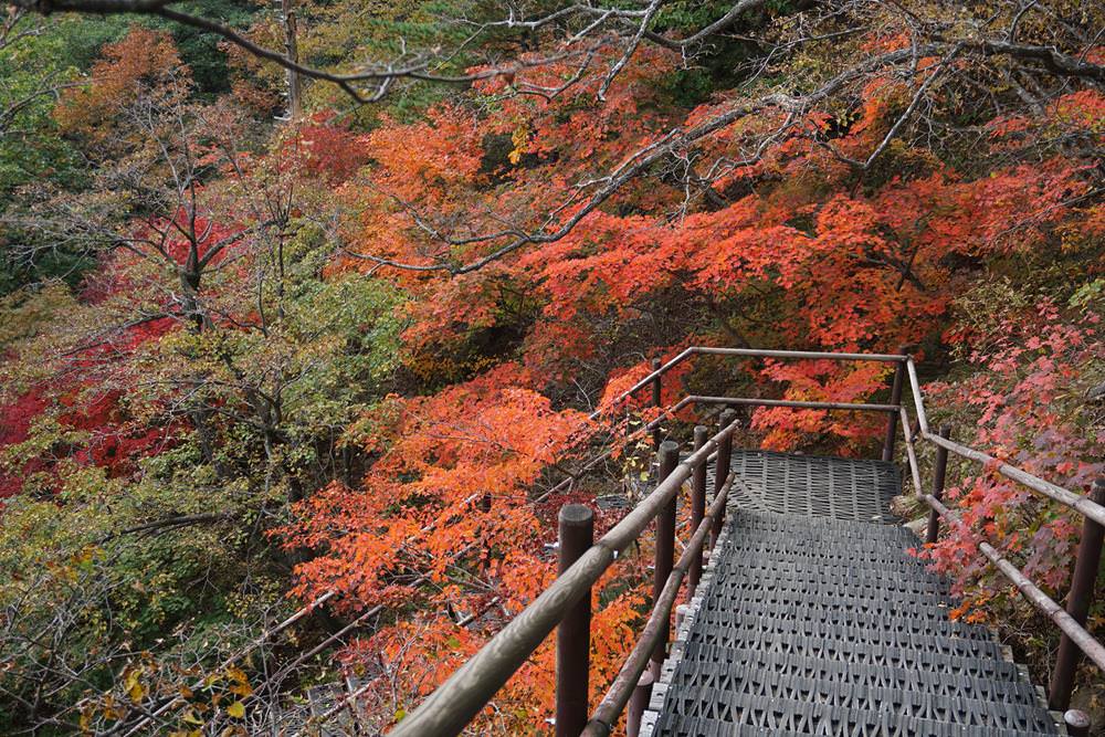 韓國楓葉,內藏山,韓國秋天,韓國銀杏,首爾秋天,首爾紅葉,首爾賞楓,韓國賞楓景點,韓國賞楓