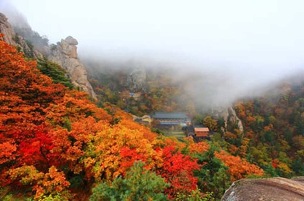 韓國楓葉,內藏山,韓國秋天,韓國銀杏,首爾秋天,首爾紅葉,首爾賞楓,韓國賞楓景點,韓國賞楓