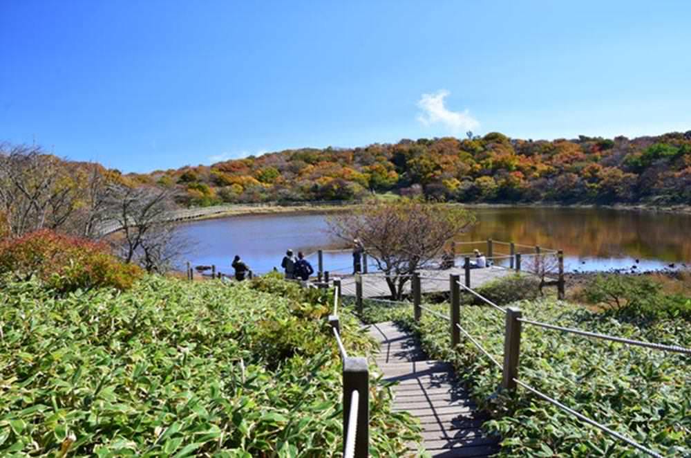 韓國楓葉,內藏山,韓國秋天,韓國銀杏,首爾秋天,首爾紅葉,首爾賞楓,韓國賞楓景點,韓國賞楓,韓國賞楓自由行