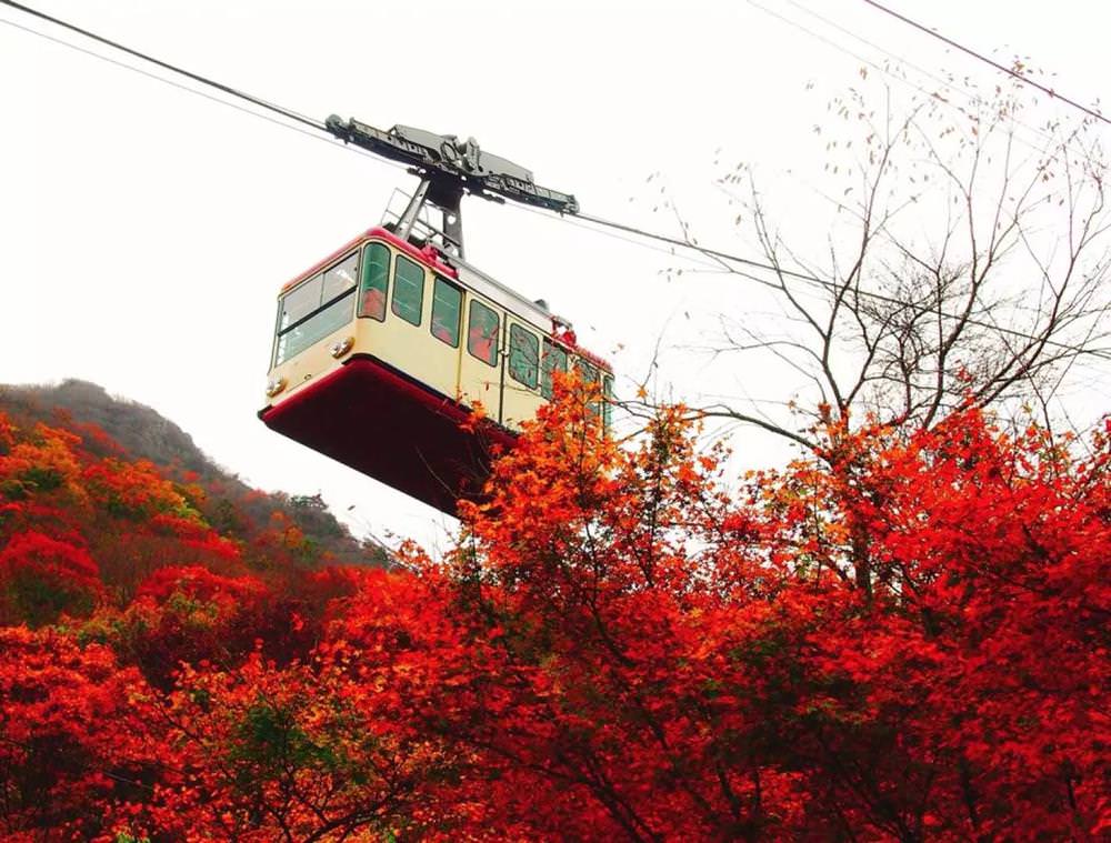 韓國楓葉,內藏山,韓國秋天,韓國銀杏,首爾秋天,首爾紅葉,首爾賞楓,韓國賞楓景點,韓國賞楓,韓國賞楓自由行