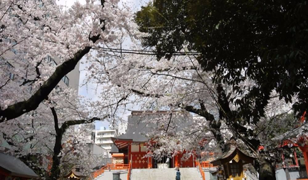 花園神社,日本,東京,神社,東京神杜,初詣,2023元旦,2023初詣,明治神宮,東京自由行,新年旅遊,東京景點,東京能量景點,東京開運景點,日本自由行,日本新年,日本元旦,2023新年,日本跨年,2023日本跨年,日本,2023新年,開運神社,開運景點