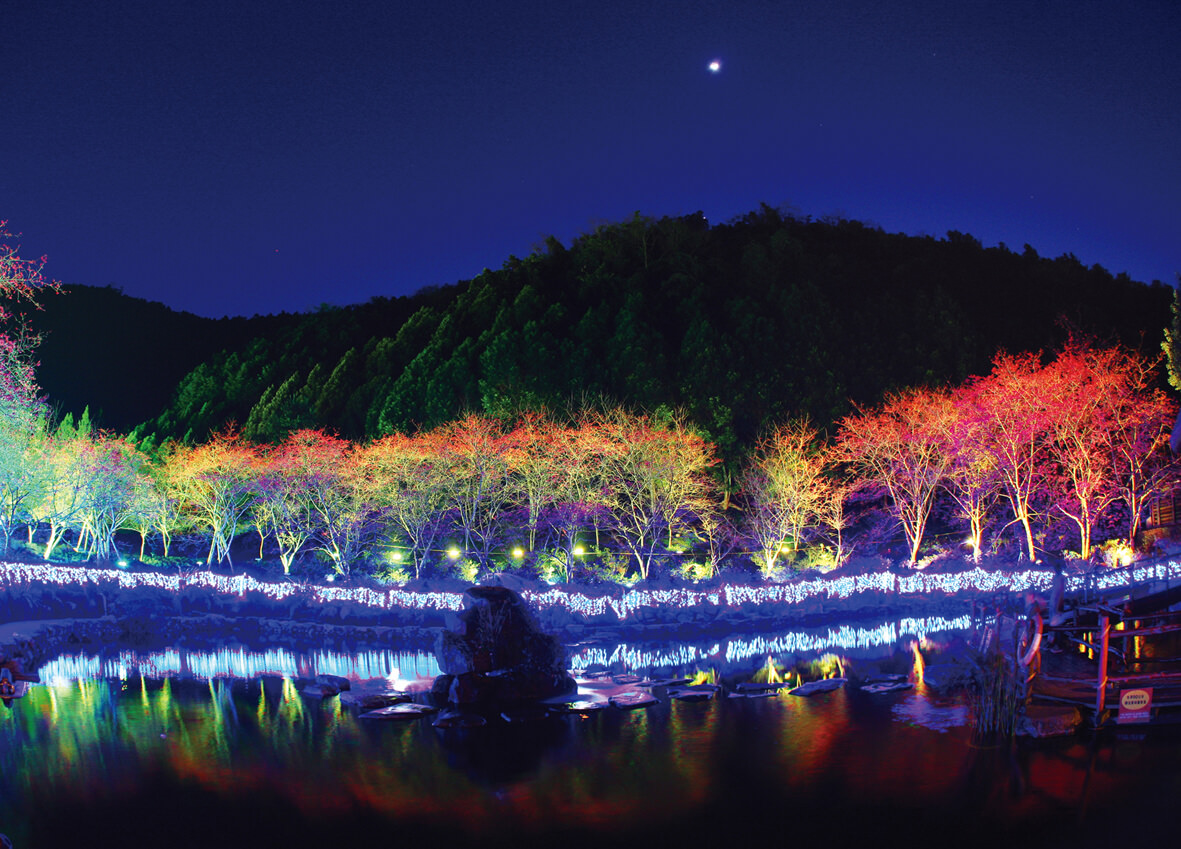 九族文化村,日月潭櫻花季,九族文化村櫻花祭,九族文化村櫻花季,台灣第一夜櫻,日月潭景點推薦,九族文化村交通方式 ,九族文化村門票,九族文化村賞櫻,南投日月潭,南投日月潭住宿,日月潭住宿推薦,南投民宿推薦,日月潭,南投景點推薦,櫻花景點,賞櫻,櫻花季,櫻花祭