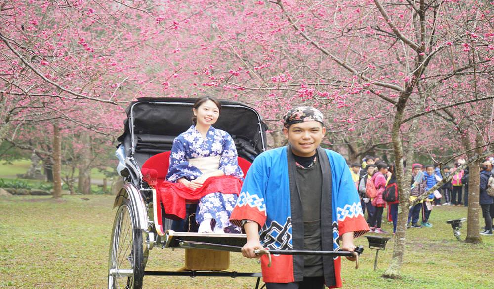 九族文化村,日月潭櫻花季,九族文化村櫻花祭,九族文化村櫻花季,台灣第一夜櫻,日月潭景點推薦,九族文化村交通方式 ,九族文化村門票,九族文化村賞櫻,南投日月潭,南投日月潭住宿,日月潭住宿推薦,南投民宿推薦,日月潭,南投景點推薦,櫻花景點,賞櫻,櫻花季,櫻花祭