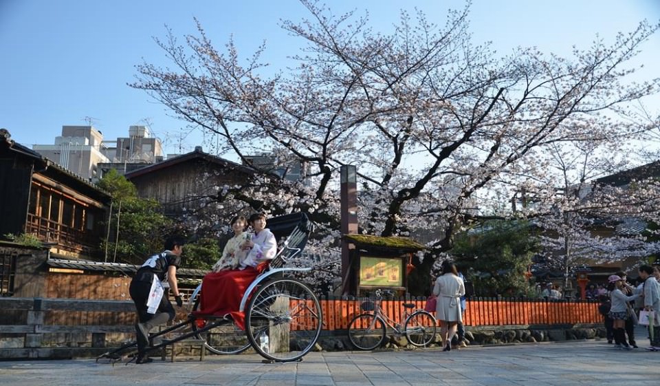 日本櫻花,日本櫻花祭,日本櫻花季幾月,日本櫻花2023,日本賞櫻,日本賞櫻地點,日本賞櫻時間,日本櫻花2023,2023日本櫻花預測,日本賞櫻文化,日本賞櫻行程,哲學之道櫻花,京都夜櫻,大阪賞櫻,京都賞櫻