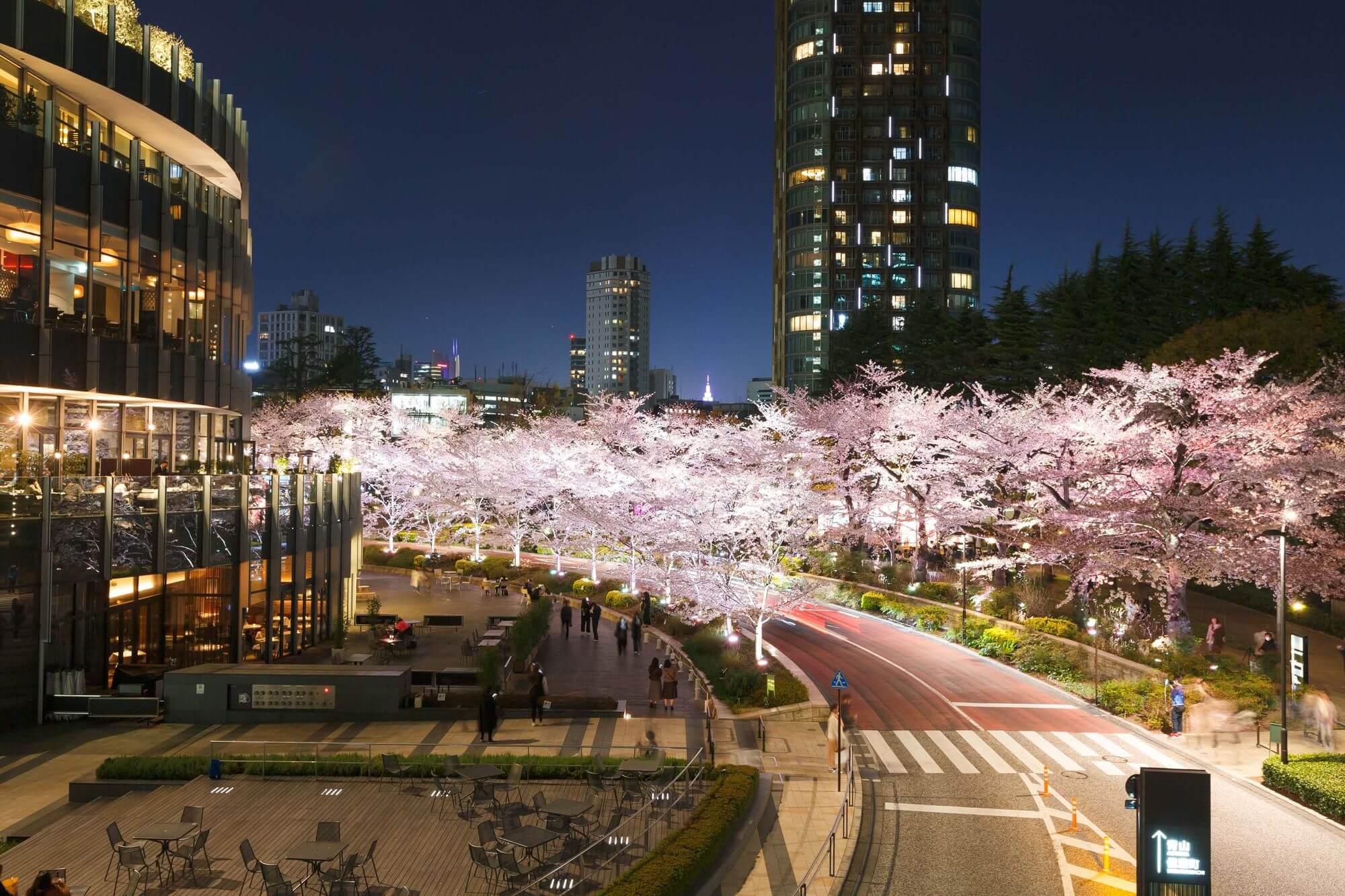 東京夜櫻必賞！MIDTOWN BLOSSOM 2021 東京六木本超人氣櫻花隧道！ - Travel x Freedom 旅誌字遊 threeonelee.com