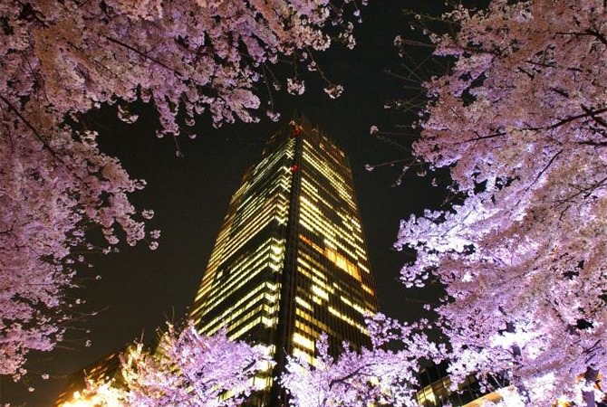 東京夜櫻必賞！MIDTOWN BLOSSOM 2021 東京六木本超人氣櫻花隧道！ - Travel x Freedom 旅誌字遊 threeonelee.com