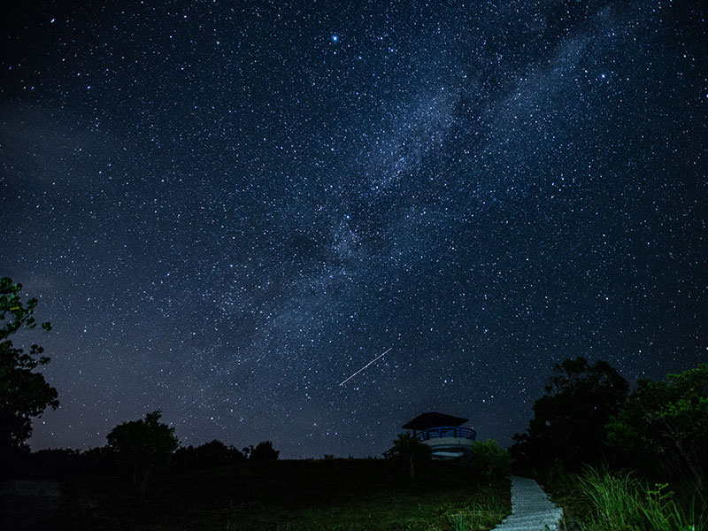 【台東最美星空音樂會】最美星空觀星導覽、最美星空音樂會、熱氣球嘉年華一次滿足！ - Travel x Freedom 旅誌字遊 threeonelee.com