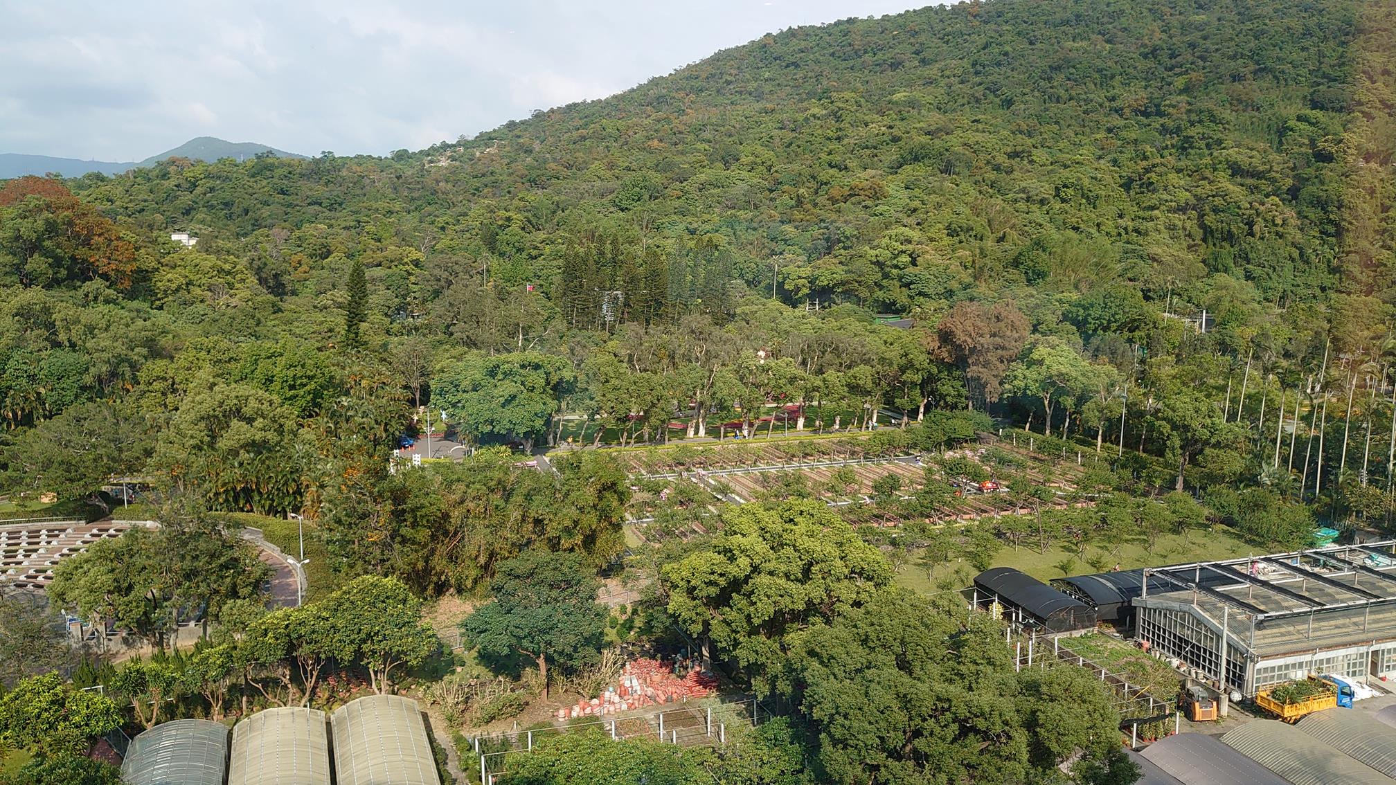 台北士林萬麗酒店,萬豪國際酒店集團,士林官邸,士林捷運住宿,士林夜市住宿