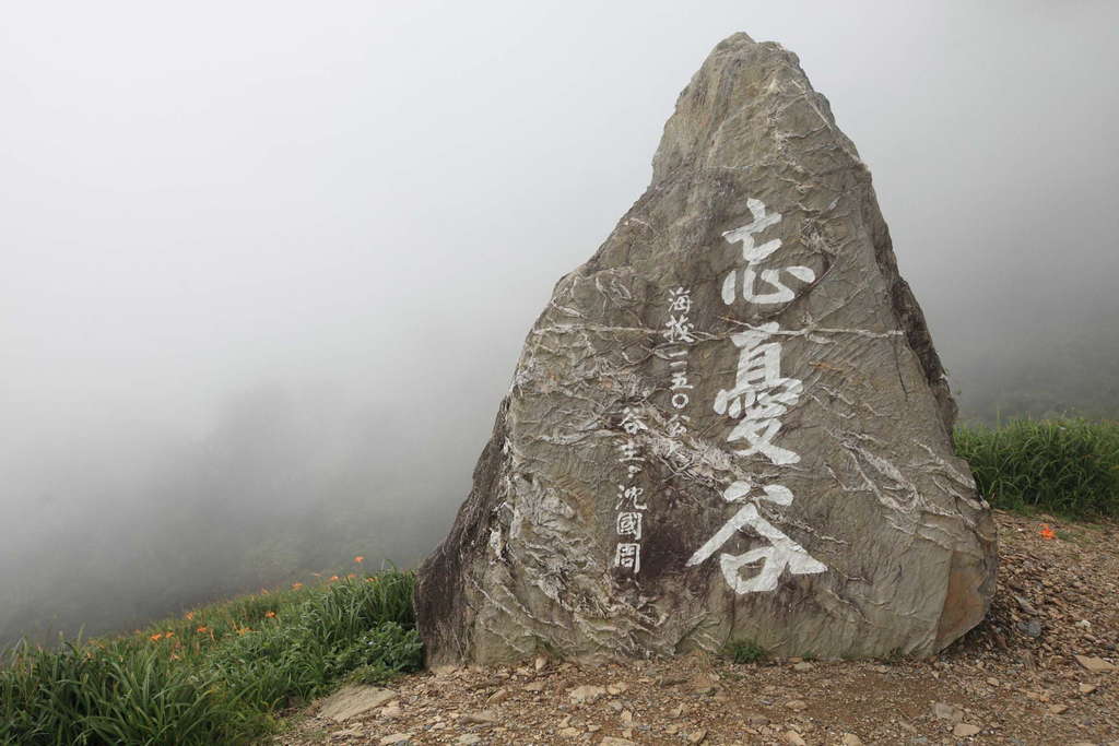 台東金針花季,台東太麻里,台東,太麻里金針花,台東忘憂谷