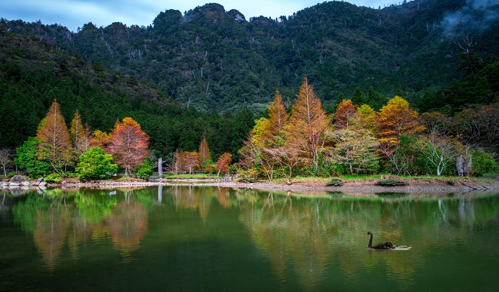 楓葉,紅葉,賞楓住宿,賞楓住宿推薦