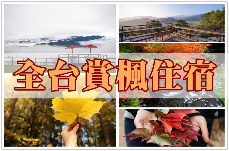 楓葉,紅葉,賞楓住宿,賞楓住宿推薦,宜蘭明池住宿,太平山住宿推薦,