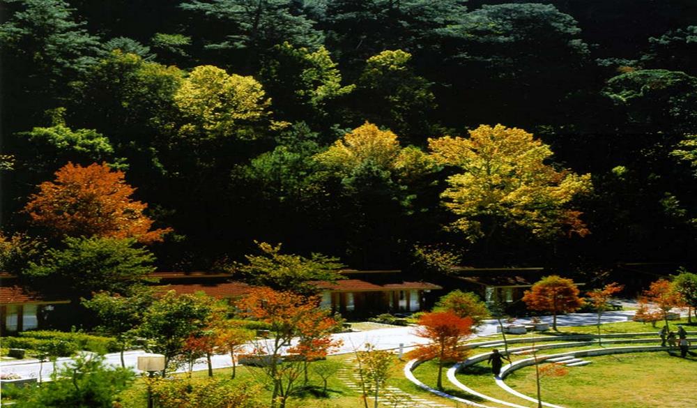 賞楓住宿,賞楓住宿推薦,賞楓,楓葉季節,武陵農場賞楓,賞楓景點,11月秘境,賞楓秘境,賞楓時間,中部賞楓,台灣賞楓時間,楓葉月份,楓葉,楓葉台灣