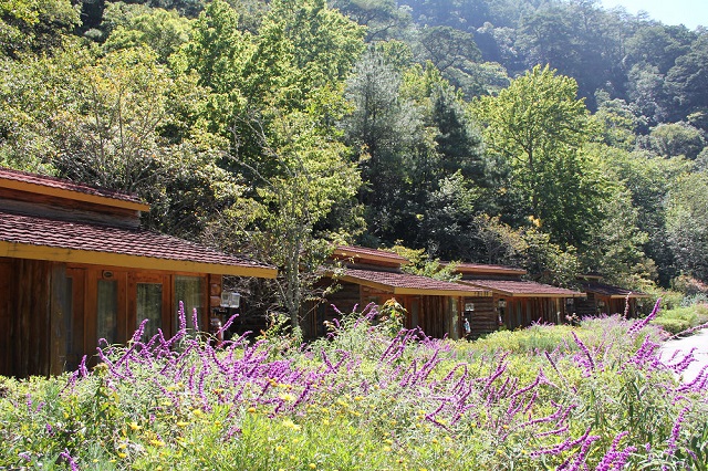 武陵國民賓館,武陵農場住宿,武陵農場住宿推薦,武陵農場賓館,武陵國民賓館,武陵休閒農莊,武陵農場櫻花季,武陵農場櫻花季住宿,武陵農場,武陵農場露營區,武陵農場露營,武陵富野渡假村,宜蘭雅廬景觀度假別墅,太平山黑煙囪景觀民宿,太平山好望角景觀別墅,山禾居風華別墅,宜蘭逢春園渡假別墅