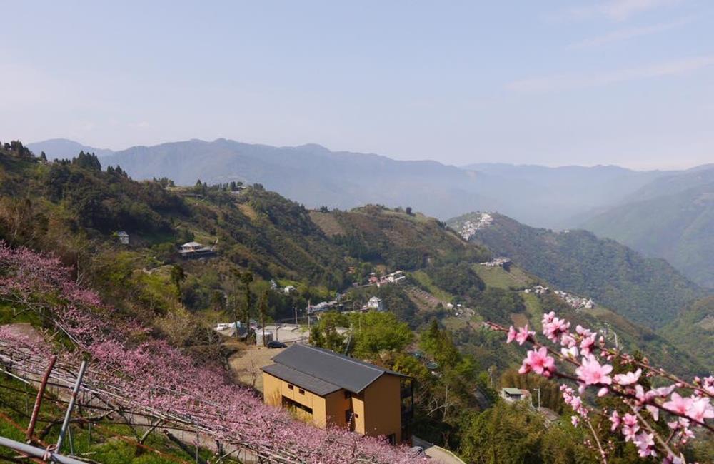 雲山仙境民宿,司馬庫斯民宿,拉拉山住宿,拉拉山民宿,司馬庫斯住宿