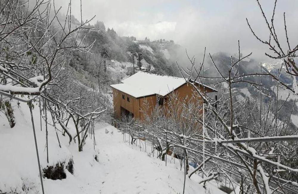 雲山仙境民宿,司馬庫斯民宿,拉拉山住宿,拉拉山民宿,司馬庫斯住宿