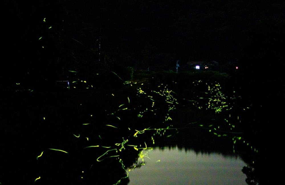 苗栗大湖湖畔花時間溫泉會館,泰安溫泉住宿,湖畔花時間,苗栗南庄住宿,苗栗住宿,苗栗親子住宿,苗栗民宿,苗栗溫泉,苗栗市 住宿,苗栗油桐花附近民宿,苗栗溫泉親子住宿