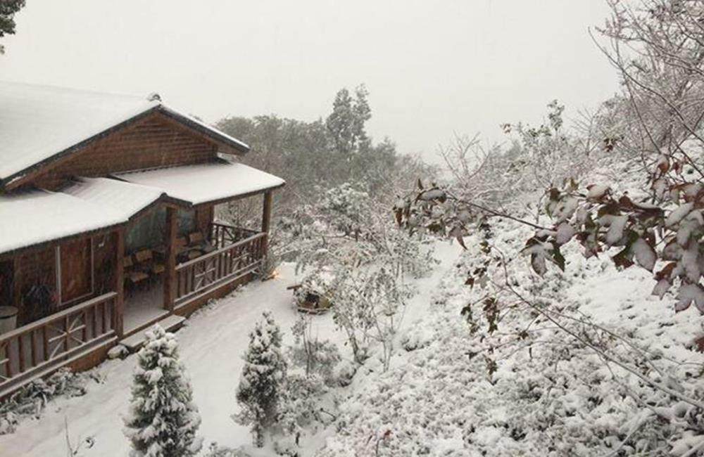 拉拉山36號農場,拉拉山住宿,拉拉山民宿,拉拉山,拉拉山包棟民宿