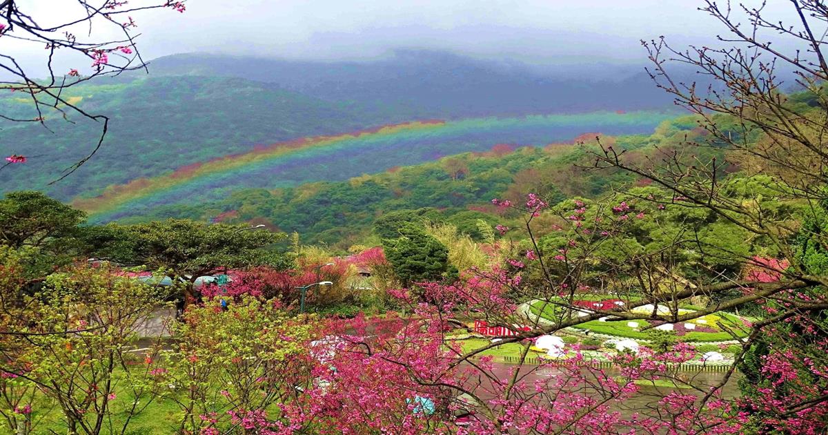 【2024陽明山花季】時間月份、交通管制、陽明山住宿推薦等！ - Travel x Freedom 旅誌字遊 threeonelee.com