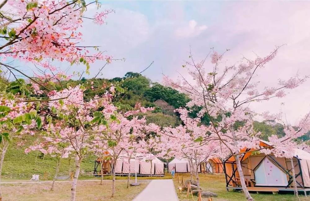 高雄六龜露營推薦 遠山望月溫泉風呂露營區 寶來花賞溫泉公園 遠山望月溫泉營區