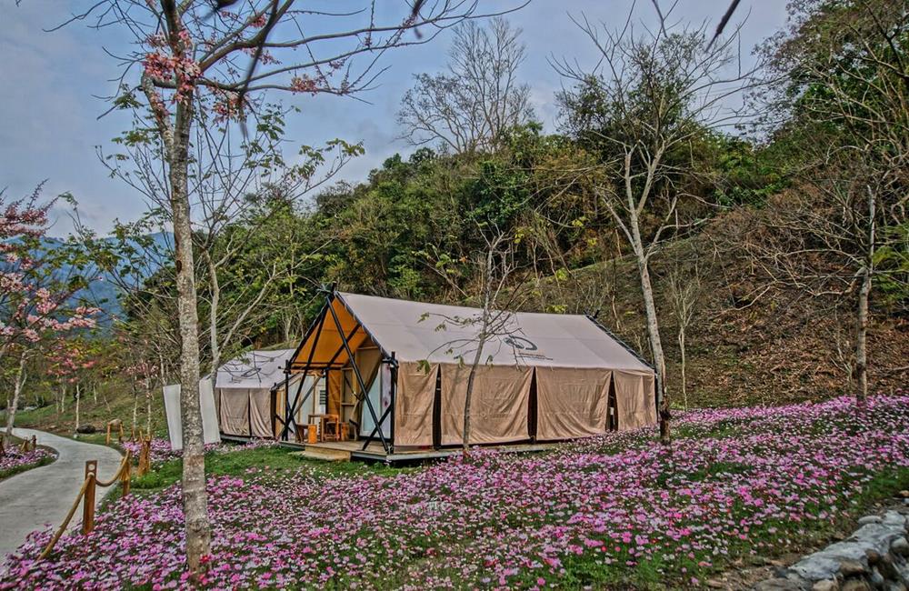 高雄六龜露營推薦 遠山望月溫泉風呂露營區 寶來花賞溫泉公園 遠山望月溫泉營區