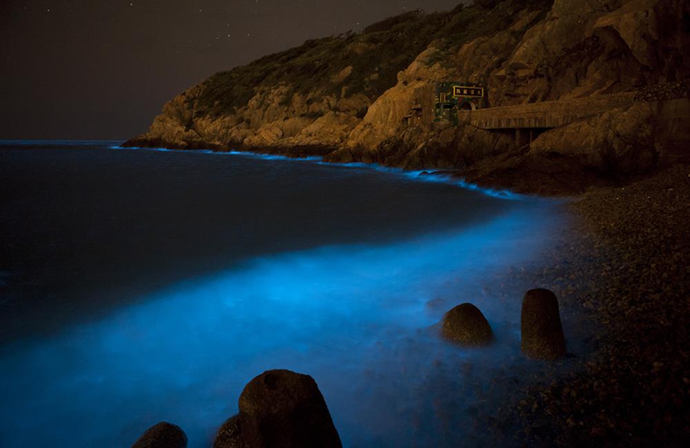 馬祖藍眼淚,馬祖旅遊,馬祖自由行