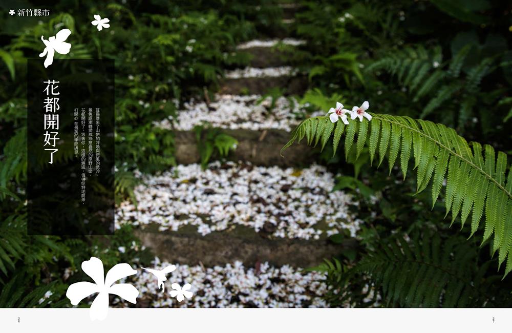 客家桐花祭,桐花季,賞桐,油桐花,賞桐步道,賞桐路線