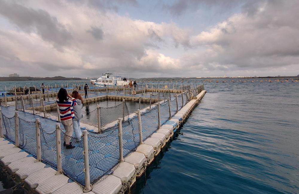 澎湖海洋牧場,澎湖自由行,澎湖行程,夜釣小管,海上皇宮,澎湖景點,牡蠣吃到飽,澎湖花火節