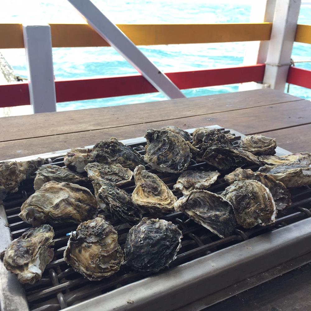 澎湖海洋牧場,澎湖自由行,澎湖行程,夜釣小管,海上皇宮,澎湖景點,牡蠣吃到飽,澎湖花火節