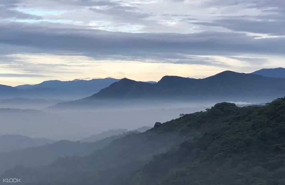 山思雲想,山思雲想美學露營,南投露營推薦,南投免搭帳露營,豪華神殿帳,神殿帳,南投,森活露營,山思雲想豪華神殿帳