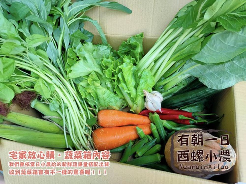 西螺小農,產地直送蔬菜箱,蔬菜箱,蔬果 宅配,防疫蔬菜箱,蔬菜箱直送,蔬菜箱 宅配