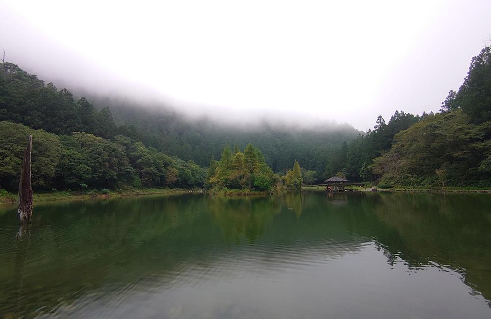 森林遊樂區,國家森林遊樂區門票,KLOOK,神木,森林遊樂區門票買一送一,宜蘭馬告生態園區,馬告生態園區,神木園一日遊,棲蘭森林遊樂區,明池森林遊樂區門票