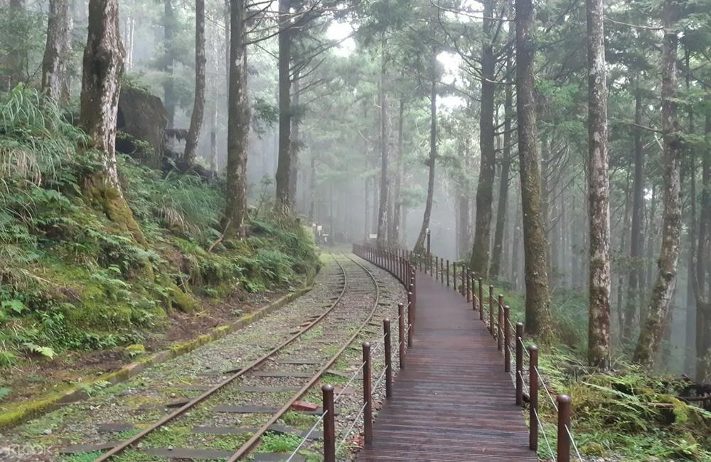 太平山國家森林遊樂區,太平山國家森林遊樂區開放,太平山解封,KLOOK,客路,微解封,降級不解封,疫情降級,疫情解封,解封景點,微解封開放,二級解封