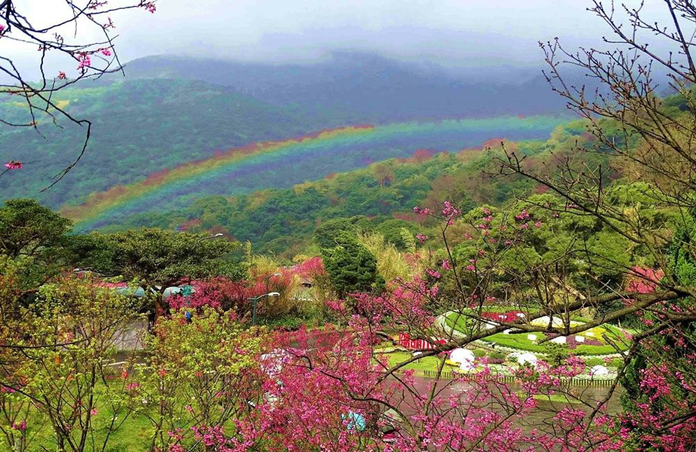 陽明山國家公園,陽明山,陽明山國家公園開放,陽明山國家公園解封,KLOOK,客路,微解封,降級不解封,疫情降級,疫情解封,解封景點,微解封開放,二級解封