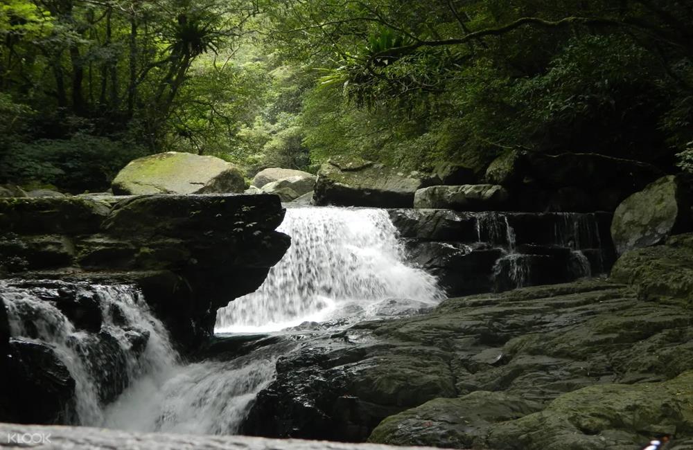 滿月圓國家森林遊樂區,三峽滿月圓,滿月圓國家森林遊樂區開放,滿月圓國家森林遊樂區解封,KLOOK,客路,微解封,降級不解封,疫情降級,疫情解封,解封景點,微解封開放,二級解封