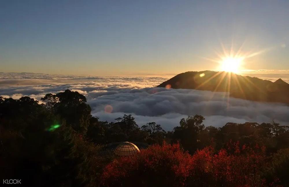 台中大雪山國家森林遊樂區,大雪山國家森林遊樂區,大雪山,大雪山國家森林遊樂區開放,大雪山國家森林遊樂區解封,KLOOK,客路,微解封,降級不解封,疫情降級,疫情解封,解封景點,微解封開放,二級解封