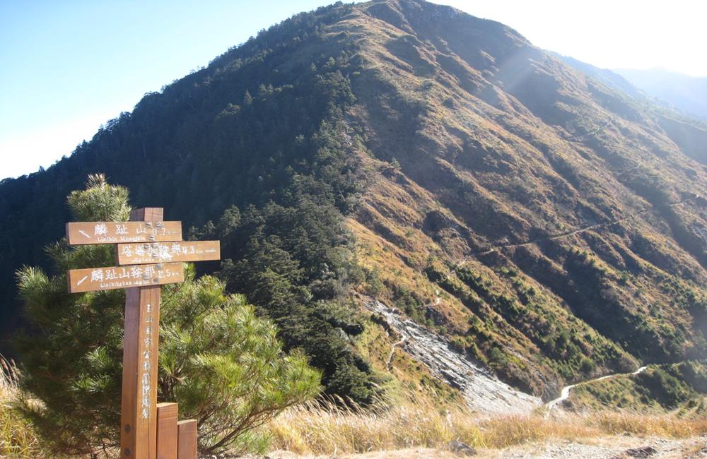 玉山國家公園,玉山,玉山開放,玉山解封,KLOOK,客路,微解封,降級不解封,疫情降級,疫情解封,解封景點,微解封開放,二級解封