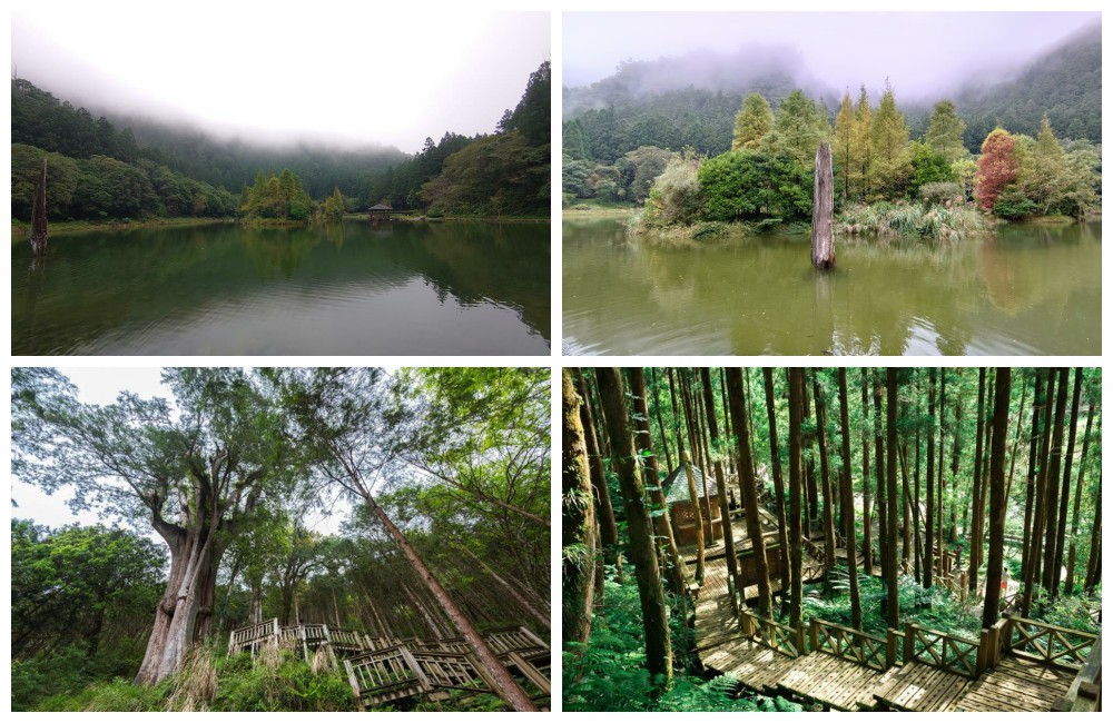 明池山莊,力麗馬告生態園區明池山莊,明池森林遊樂區,KLOOK,客路,住宿券,飯店住宿券,宜蘭住宿推薦,宜蘭大同住宿