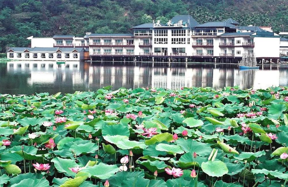 南投住宿推薦,天水蓮大飯店,南投埔里鯉魚潭住宿,埔里住宿推薦,鯉魚潭住宿推薦,KLOOK,客路,住宿券,飯店住宿券