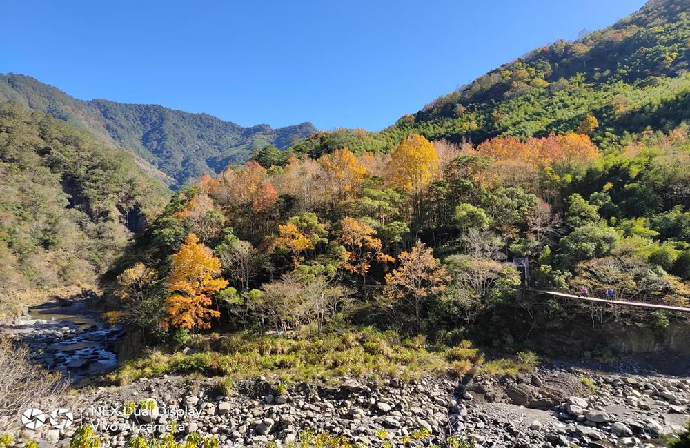 司馬庫斯櫻花季,司馬庫斯,司馬庫斯住宿,司馬庫斯自由行,司馬庫斯入山證申請2022,司馬庫斯入山證2022,司馬庫斯行程,新竹司馬庫斯,司馬庫斯交通,司馬庫斯入山申請,司馬庫斯官網,司馬庫斯賞櫻,司馬庫斯交通管制