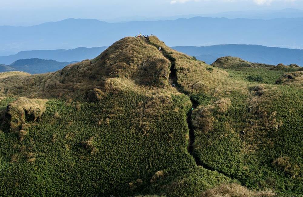 陽明山,陽明山芒草,賞楓,賞楓景點,賞楓,楓葉,紅葉,楓葉季,楓葉祭,楓葉 2021,落羽松,秋天 賞楓 景點,賞楓秘境