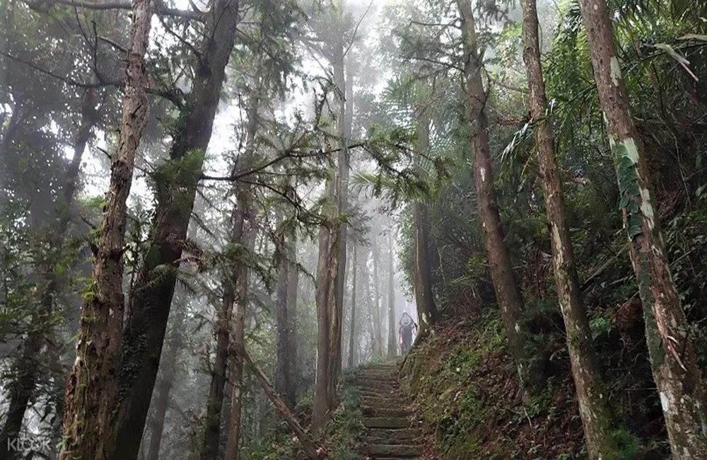 苗栗露營推薦,HOOD to COAST Taiwan,輕裝上陣,DETOUR,深山簡居·漫遊客鄉,苗栗山中秘境露營,33號小百岳－仙山步道,喜妹娜哇,手作注連繩體驗