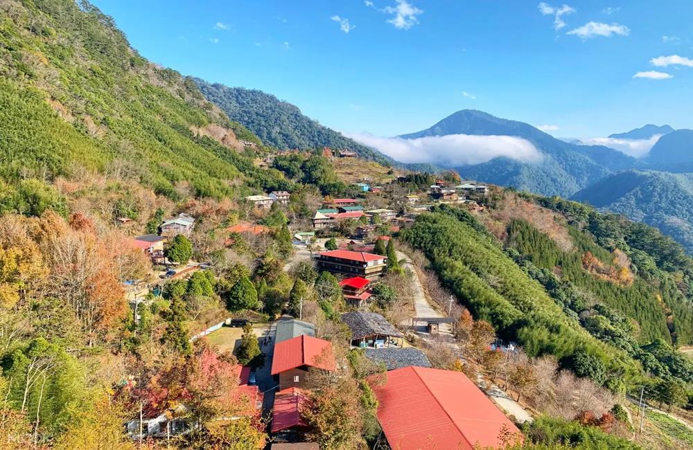 新竹司馬庫斯,新竹露營推薦,司馬庫斯露營推薦,司馬庫斯2天1夜露營體驗,HOOD to COAST Taiwan,輕裝上陣,DETOUR,勇闖上帝巨木群