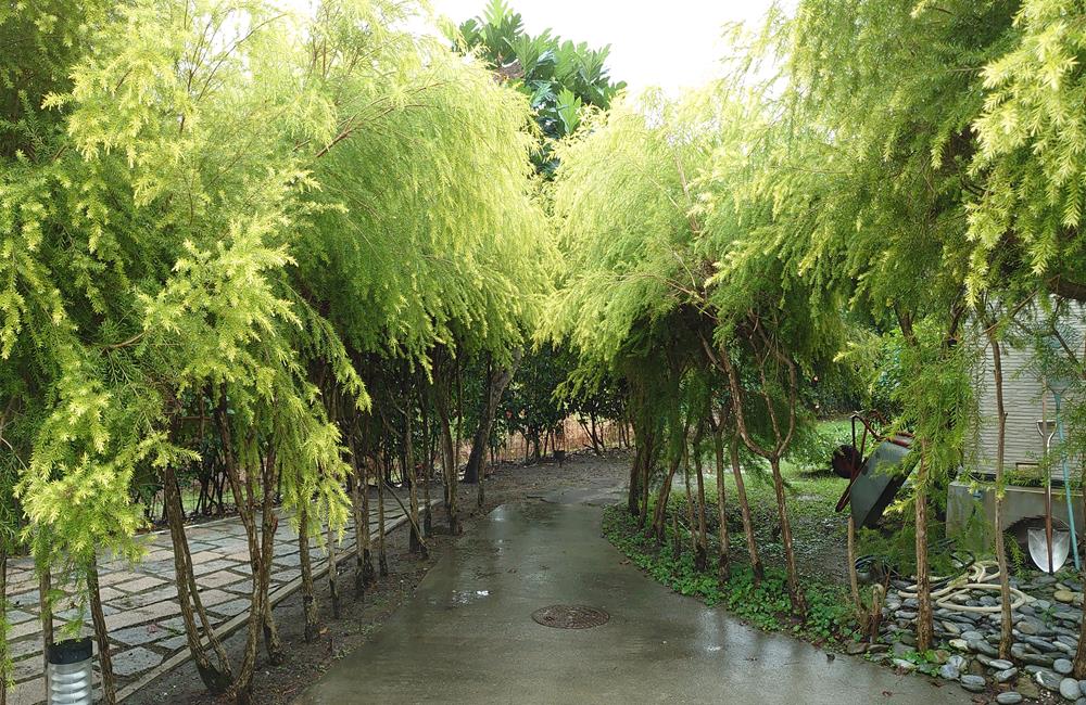 穗花田,穗花田渡假莊園,瑞穗民宿推薦,花蓮瑞穗溫泉,花蓮 民宿,穗花田-瑞穗渡假莊園,花蓮民宿穗花田,瑞穗渡假莊園,花蓮,穗花田民宿,花蓮民宿推薦,花蓮住宿推薦,瑞穗住宿推薦,花蓮 住宿,瑞穗住宿推薦,瑞穗溫泉,花蓮小木屋民宿,瑞穗渡假莊園- 花蓮 - 穗花田民宿,花蓮重機民宿,花蓮鐵馬民宿,花蓮咖啡民宿,花蓮泛舟民宿