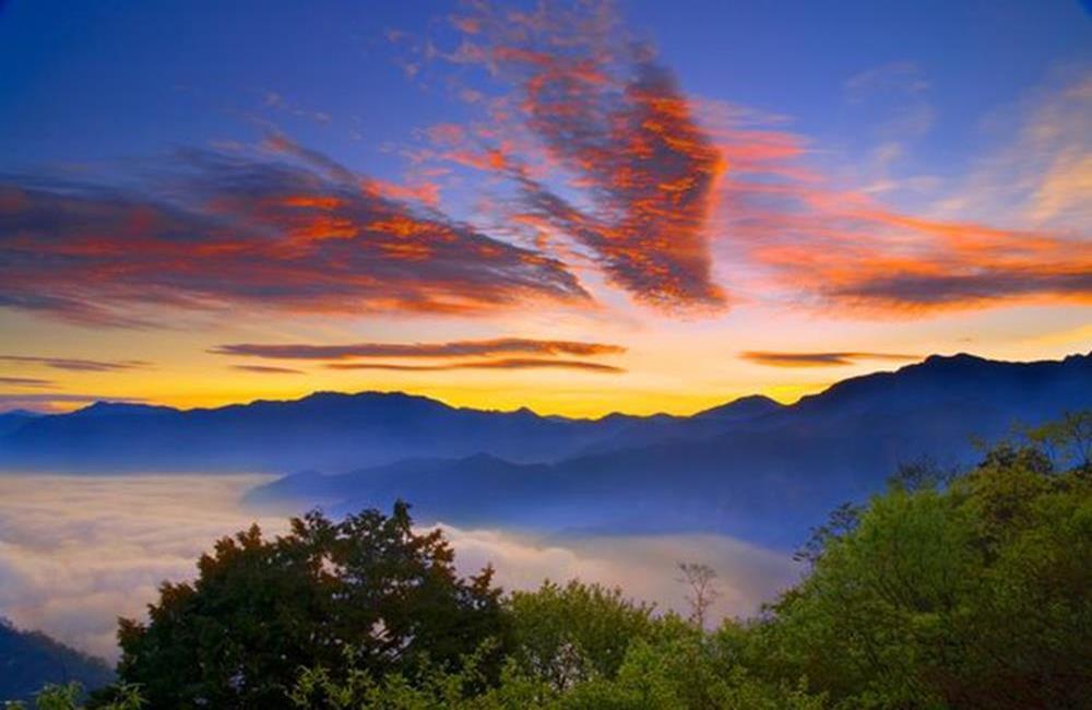 阿里山冬季大鑽石天文營,阿里山賞櫻,阿里山觀星,阿里山櫻花季,阿里山小火車,阿里山神木,嘉義阿里山國家森林遊樂園, 阿里山日出,阿里山民宿推薦,阿里山住宿推薦,小笠原山,台灣好行阿里山線,阿里山交通