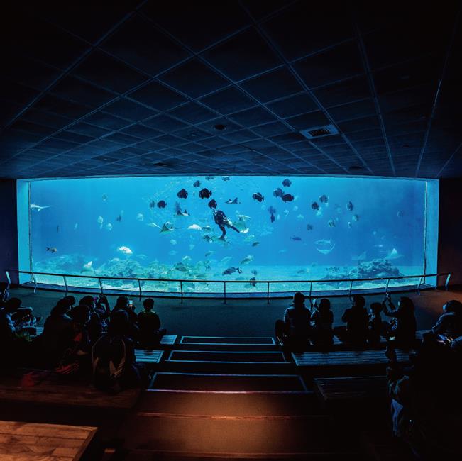 魚你同行後場探秘活動,台灣水域館海生館,夜宿海生館,海生館活動,迷你解說員,海生館住宿,夜宿屏東海生館,屏東海生館,國立海洋生物博物館,屏東海生館活動,海生館門票,海生館票價,海生館預約,海生館門票