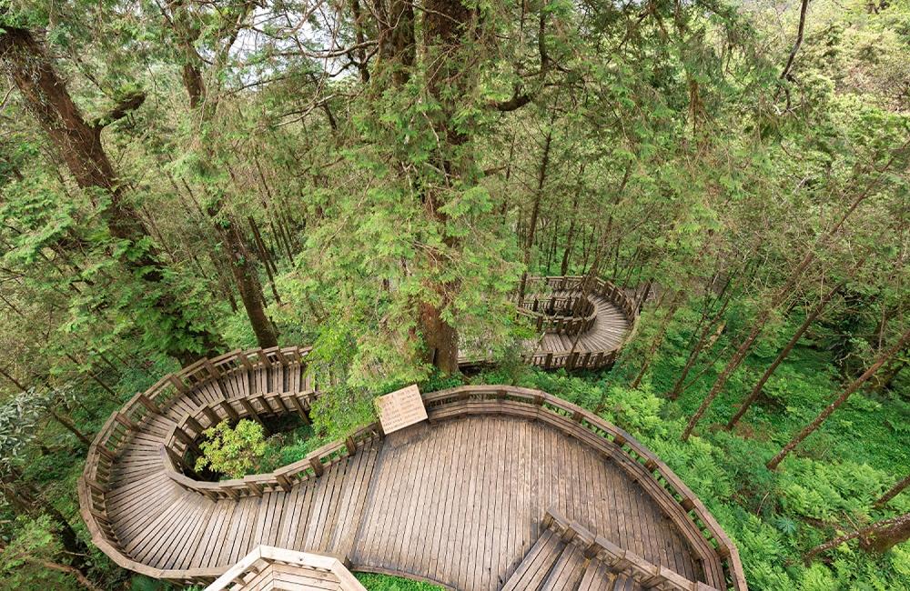 宜蘭馬告生態園區,馬告生態園區,神木園一日遊,棲蘭森林遊樂區,明池森林遊樂區門票,森林遊樂區,國家森林遊樂區門票,KLOOK,神木,森林遊樂區門票買一送一